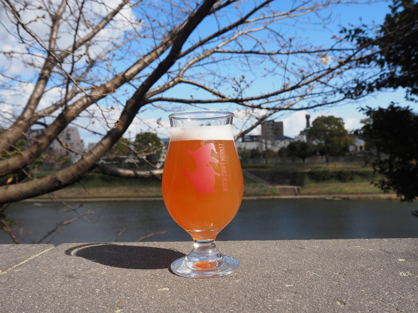 Pink Kumamon Blush Sour/ ピンク くまモン ブラッシュ サワー