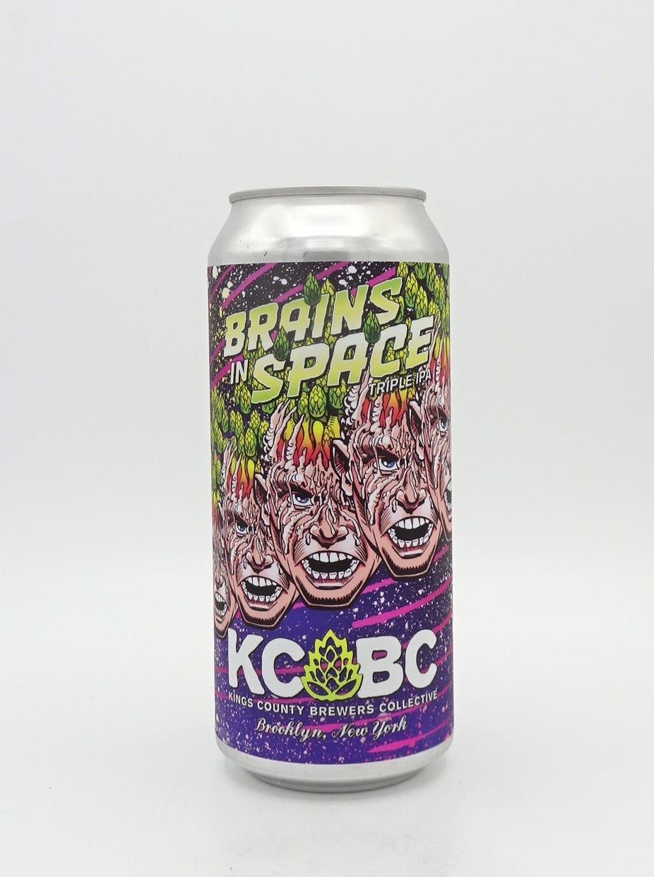 Brains in Space / ブレインズインスペース