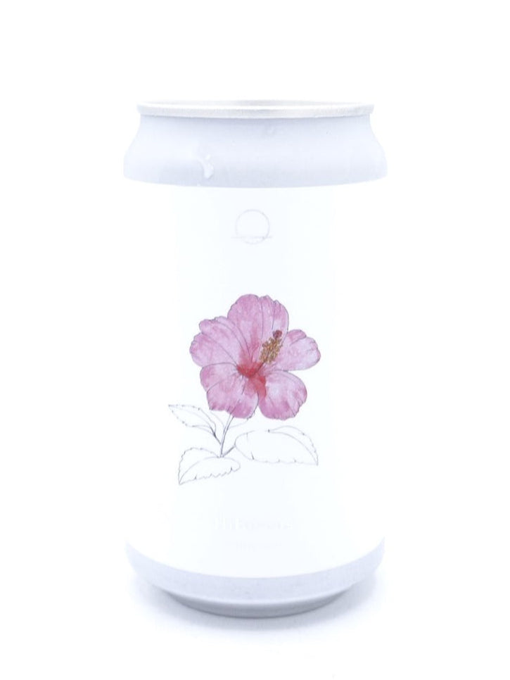 Hibiscus/ ハイビスカス