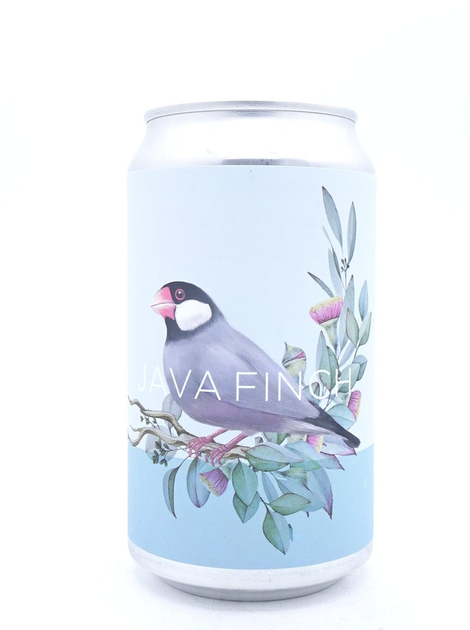 Java Finch / ジャバ フィンチ