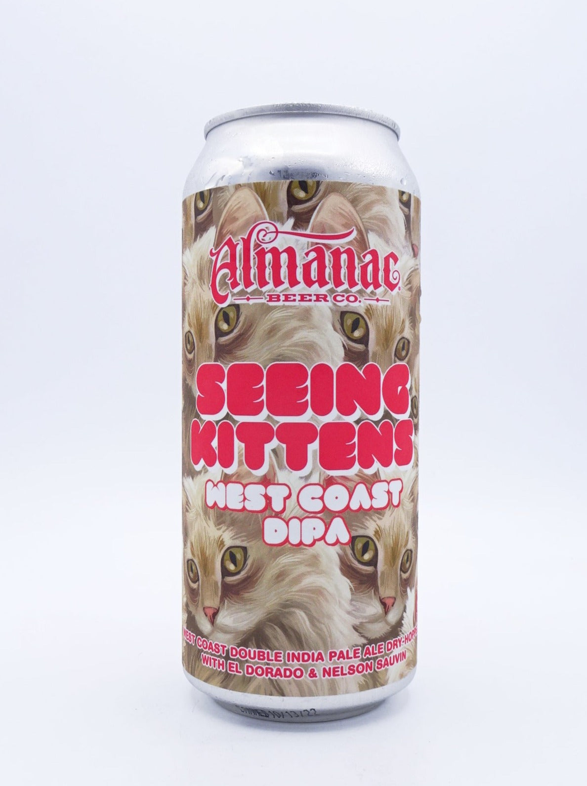 Seeing Kittens  / シーイング キティンズ