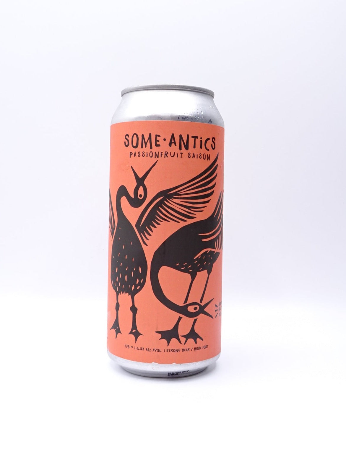 Some Antics/サム アンティクス